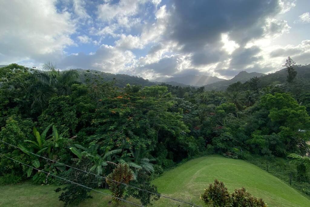 Rainforest Retreat 15 Min From The Beach Luquillo Luaran gambar