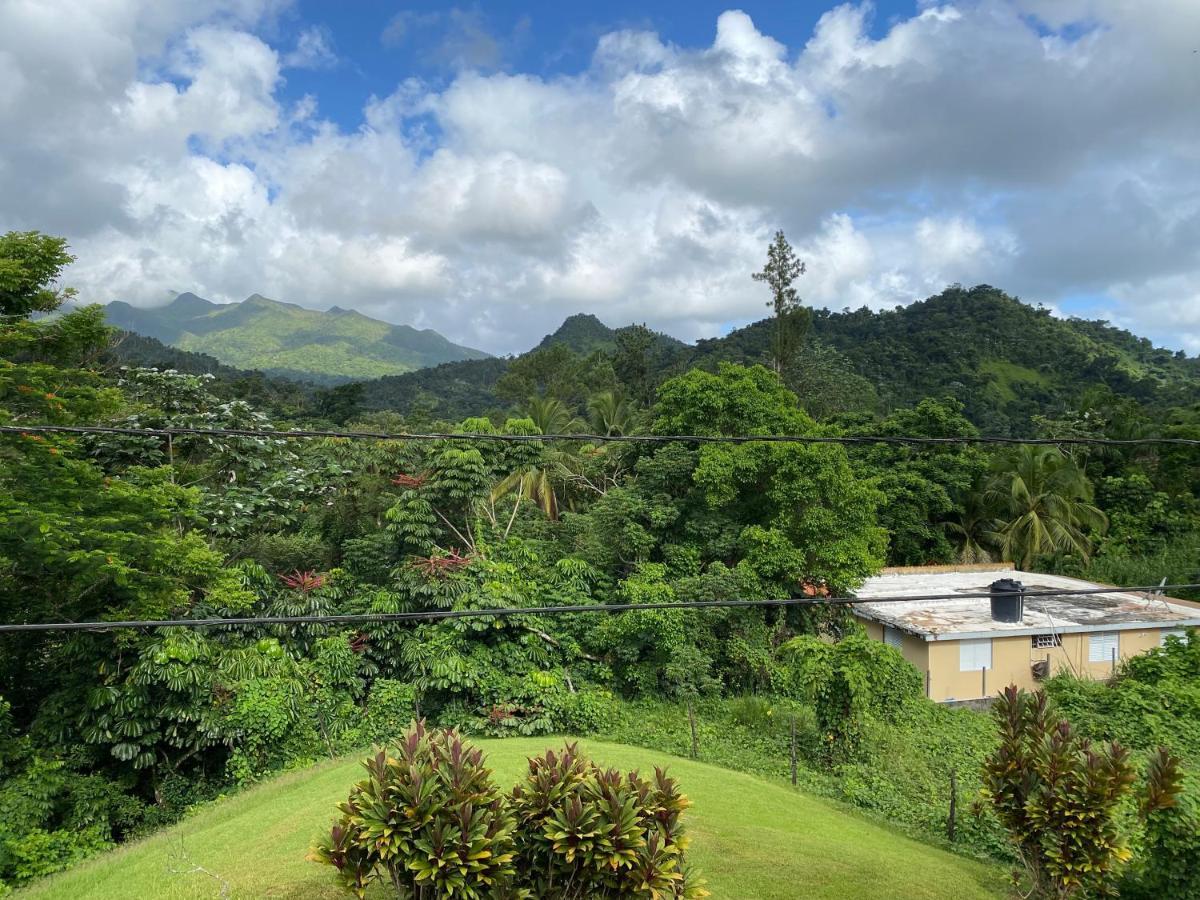 Rainforest Retreat 15 Min From The Beach Luquillo Luaran gambar