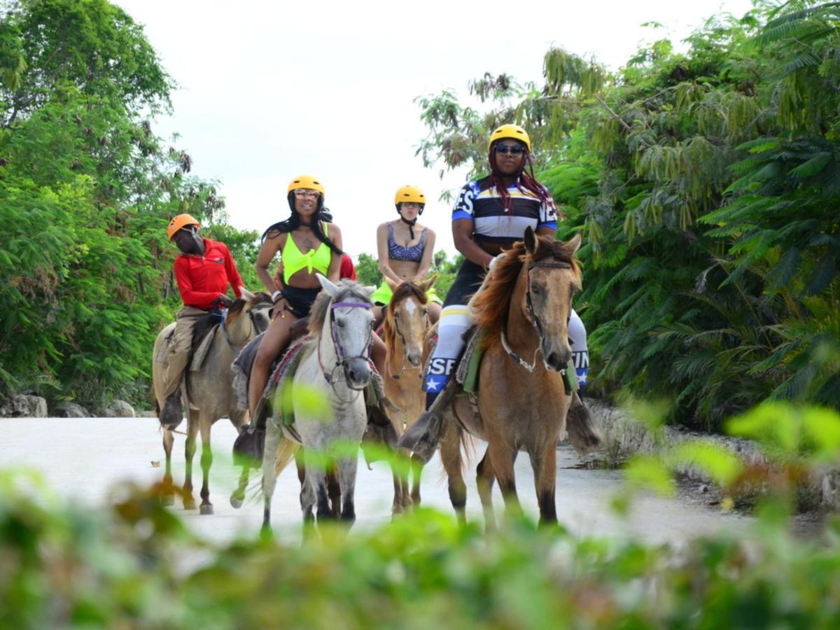 Rainforest Retreat 15 Min From The Beach Luquillo Luaran gambar