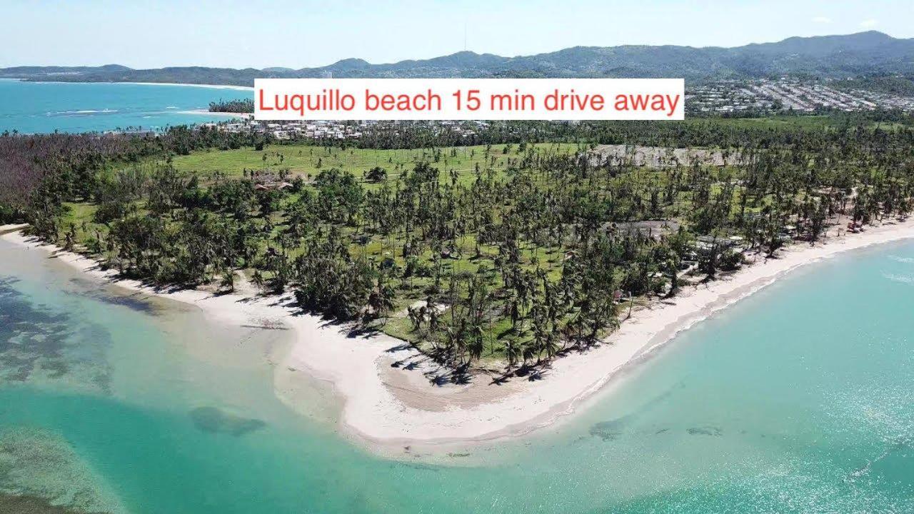 Rainforest Retreat 15 Min From The Beach Luquillo Luaran gambar