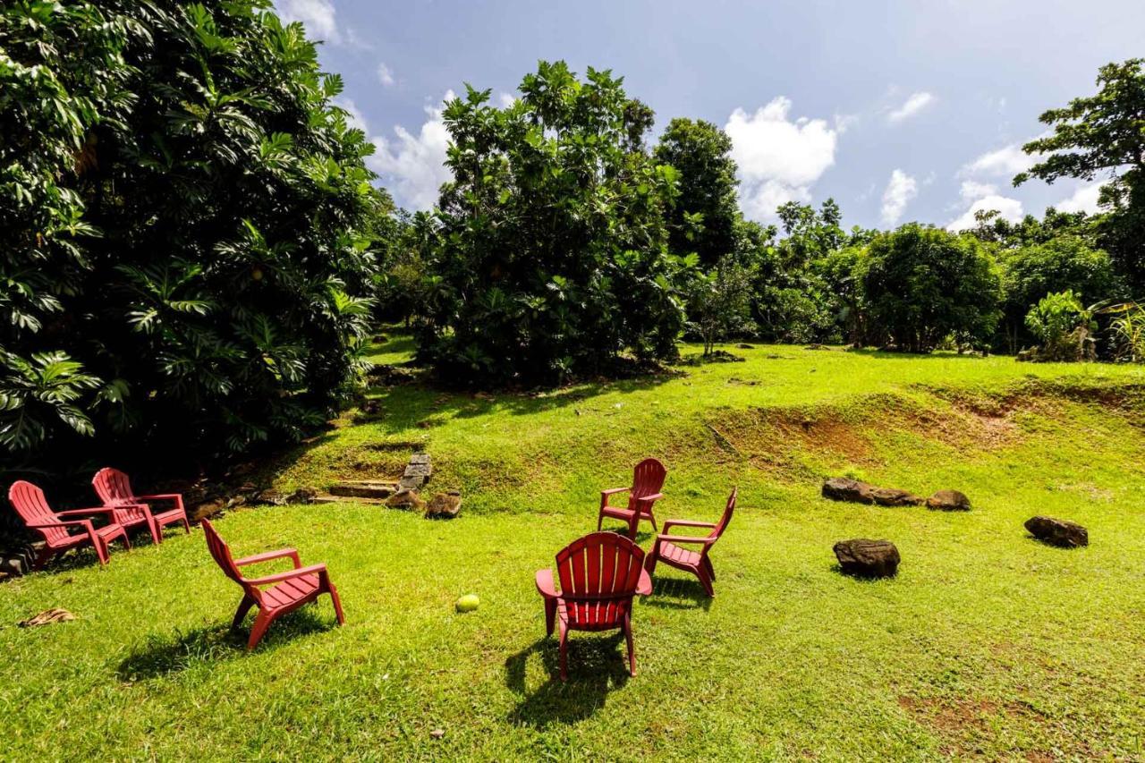 Rainforest Retreat 15 Min From The Beach Luquillo Luaran gambar