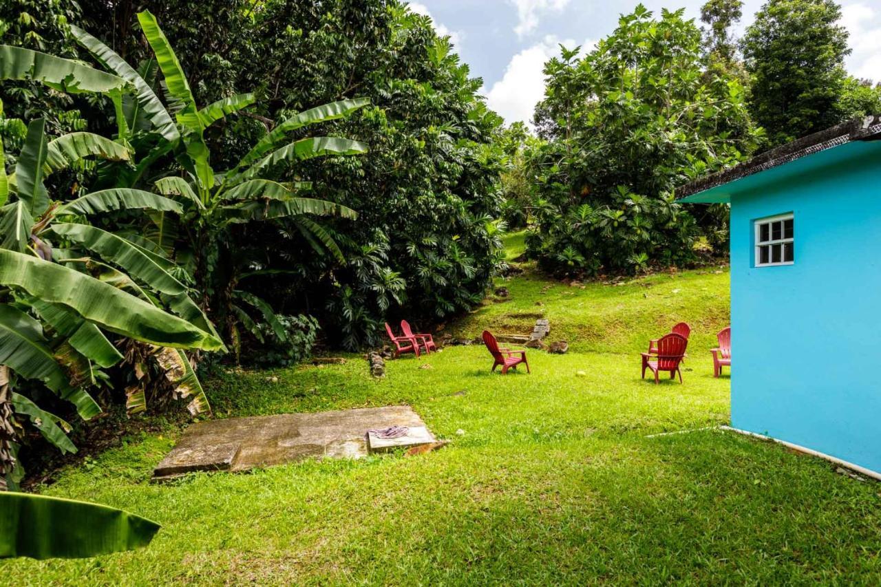 Rainforest Retreat 15 Min From The Beach Luquillo Luaran gambar