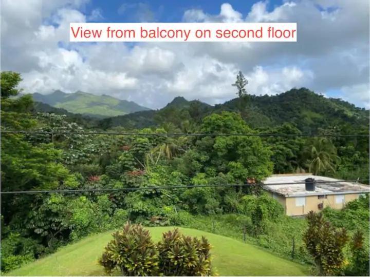 Rainforest Retreat 15 Min From The Beach Luquillo Luaran gambar